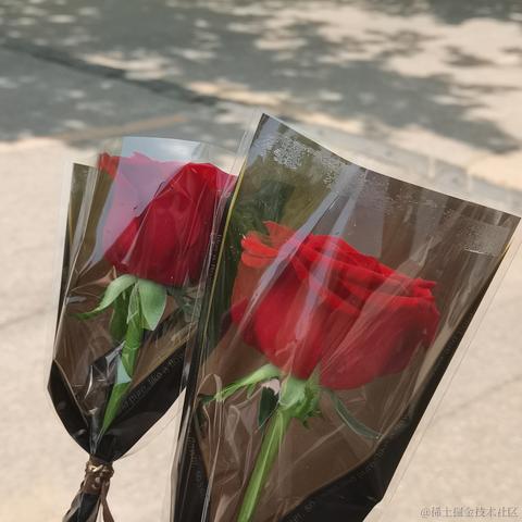 安可可可可于2023-05-20 23:07发布的图片