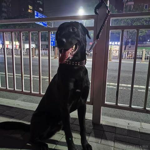 猿中吕布于2023-05-12 11:45发布的图片
