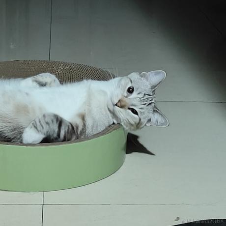 苦你寄哇于2023-10-24 16:13发布的图片