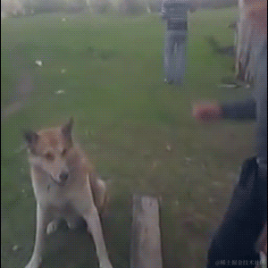 火星网友于2021-05-27 07:58发布的图片