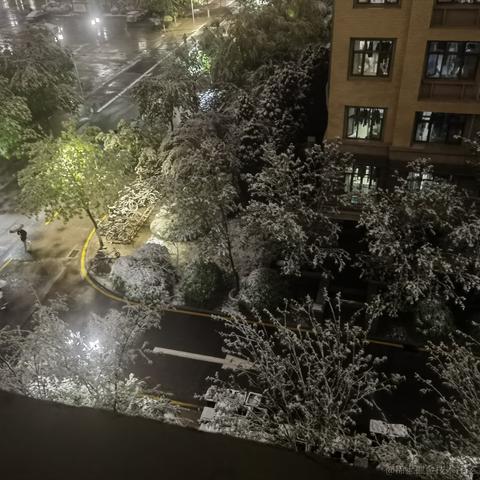 用户5440068287407于2023-04-21 23:31发布的图片