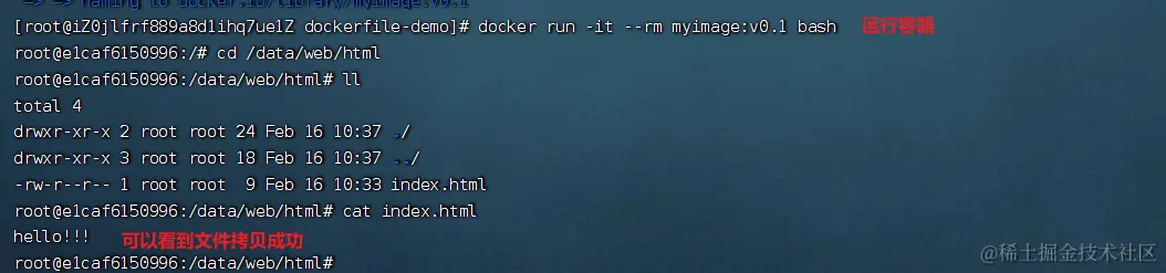 image-20240216183956189