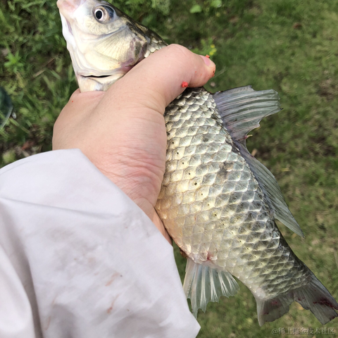 吃饭不擦嘴于2021-07-17 11:17发布的图片