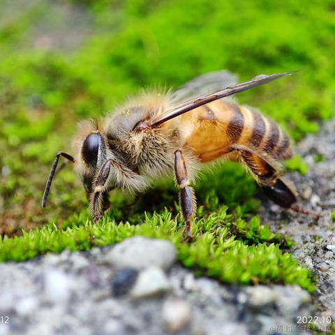 薛定谔的猫酱于2022-10-01 17:41发布的图片