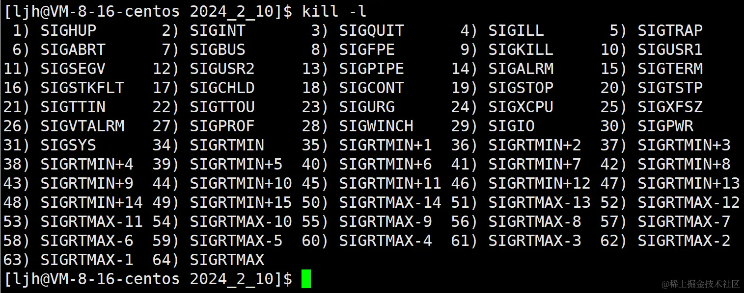 image-20240210235649816