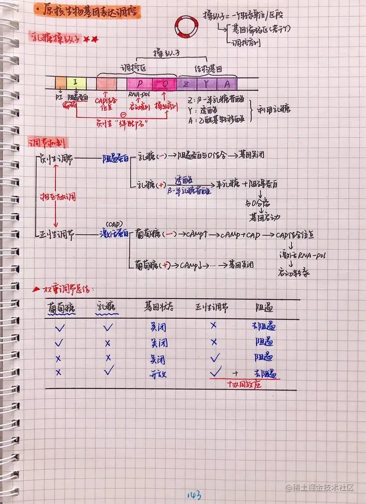 生化手写笔记.pdf