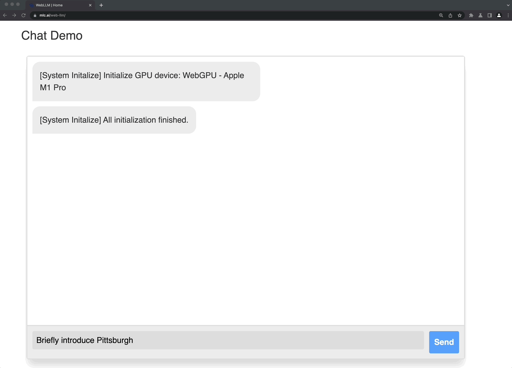 demo-picture-of-web-llm