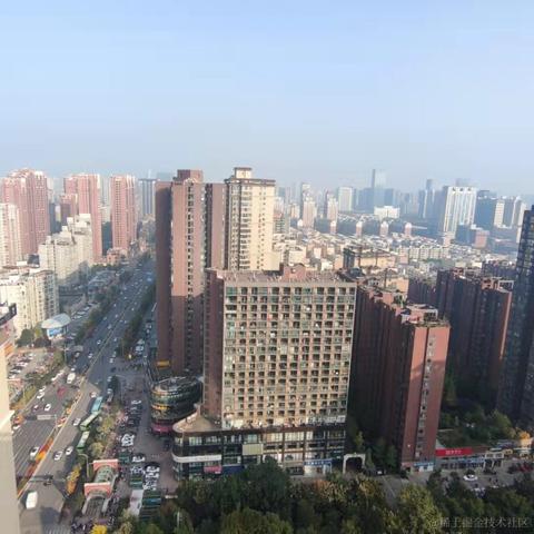 卖菜_摊主于2021-11-24 01:57发布的图片