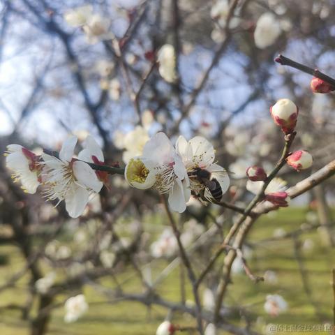 其实是白羊于2022-02-26 18:23发布的图片