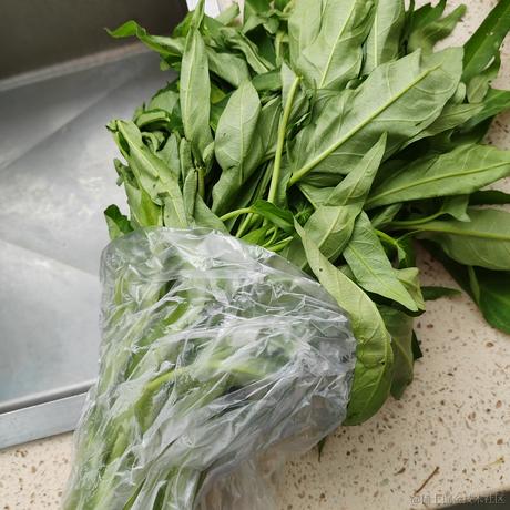 好香好香于2023-07-12 19:30发布的图片