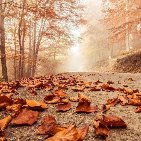 小袁先生于2022-11-09 11:49发布的图片