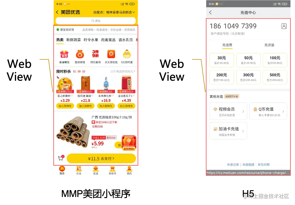 图11 WebView页面示例