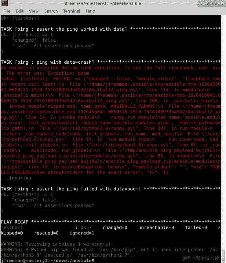 图 10.17 - 对 Python 3.8 环境运行 Ansible ping 集成测试
