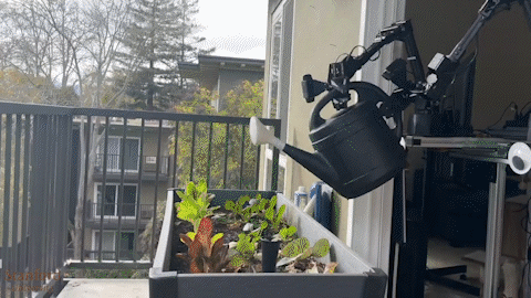 斯坦福为懒人献上大礼！机器人洗衣做饭逗猫看呆网友，成本3万美元自己也能DIY