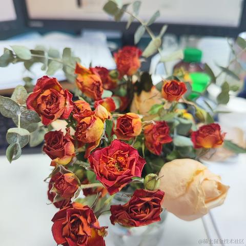 Ann于2023-07-06 00:57发布的图片