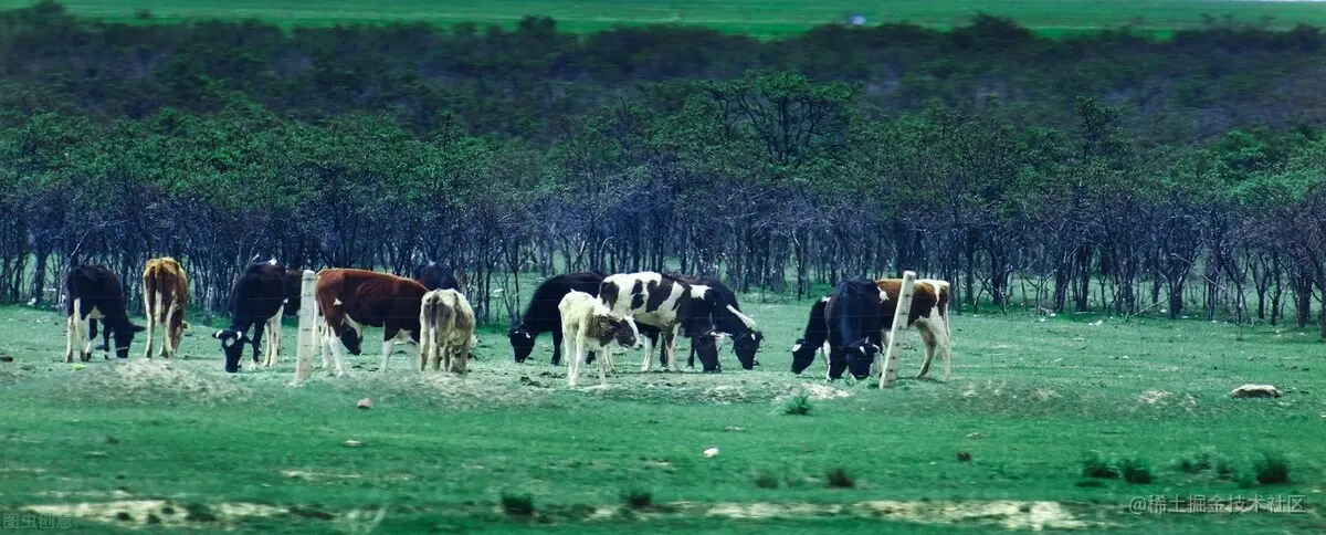 农村当前最大的红利，以及三大赚钱项目