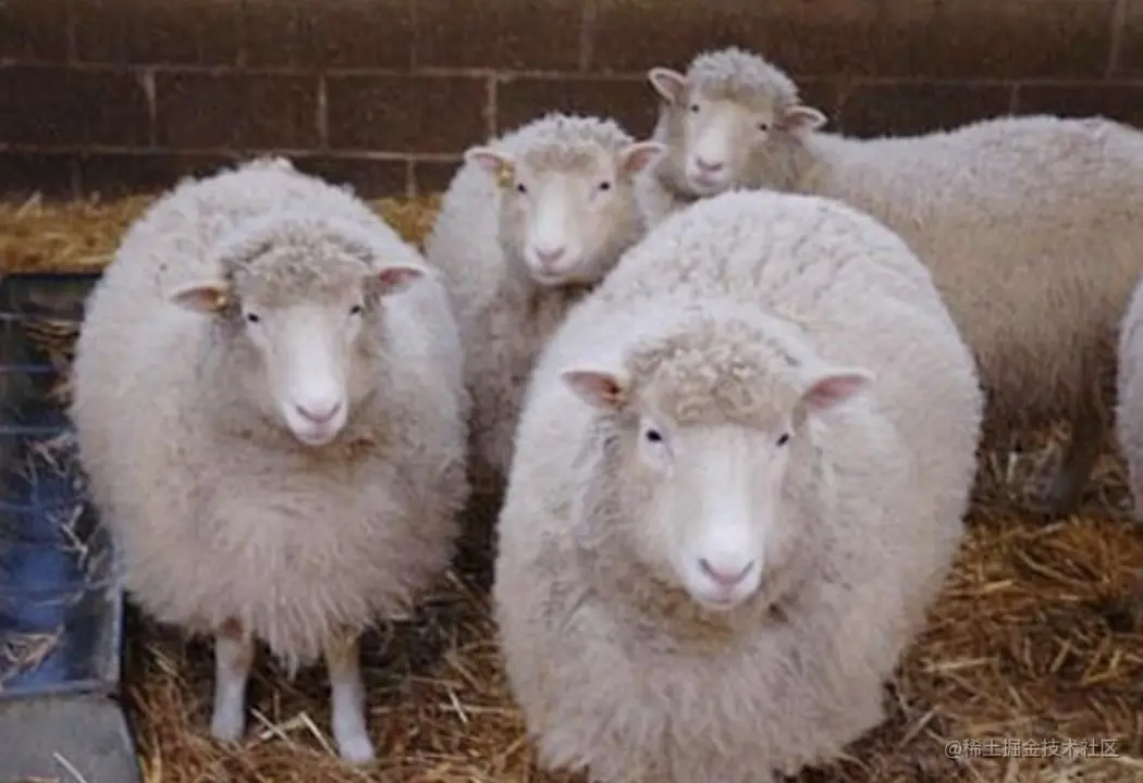 image-20210810131613519