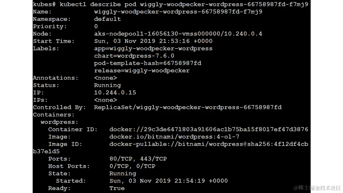 使用 kubectl describe pod 命令获取 pod 的描述