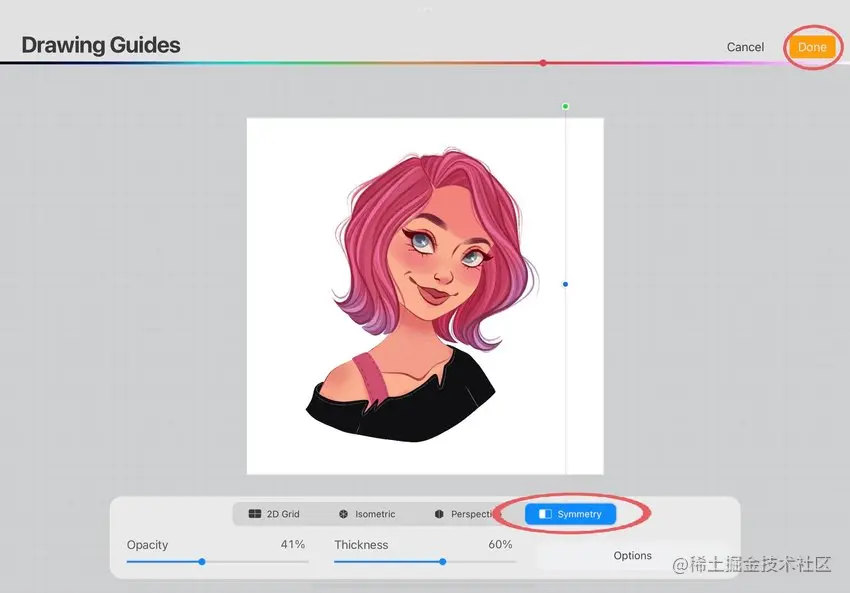 screenshot of the symmetry drawing guide edit screen