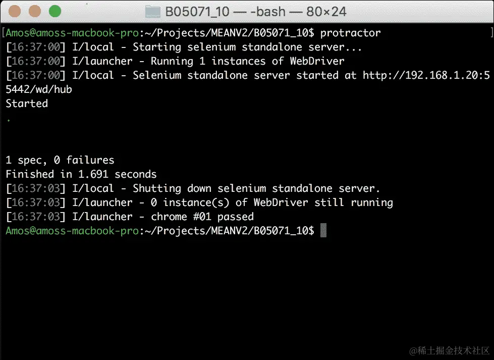 运行您的 Angular E2E 测试