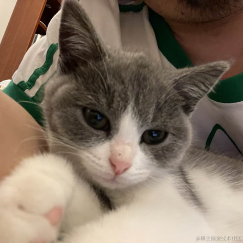 豆饼于2021-09-28 09:25发布的图片