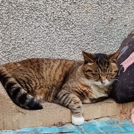 悲伤的猪大肠于2022-09-21 12:48发布的图片