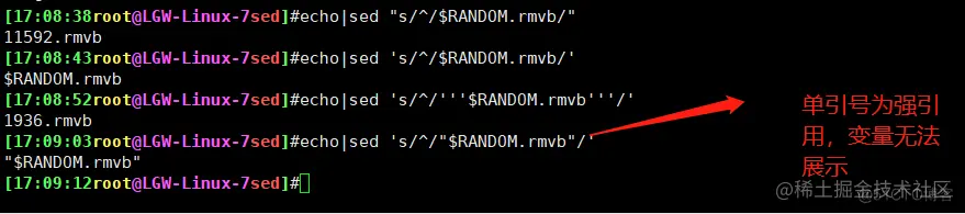 sed命令练习_正则表达式_17