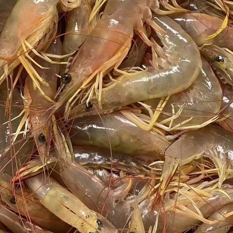 我想中奖于2023-01-18 12:55发布的图片