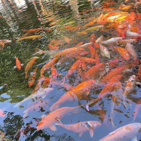 我是个靓崽于2023-05-03 23:29发布的图片