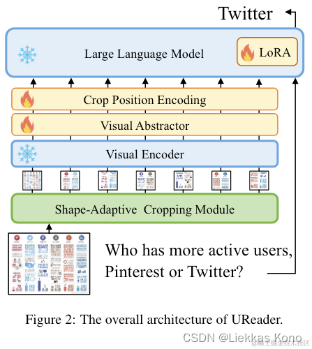 UReader