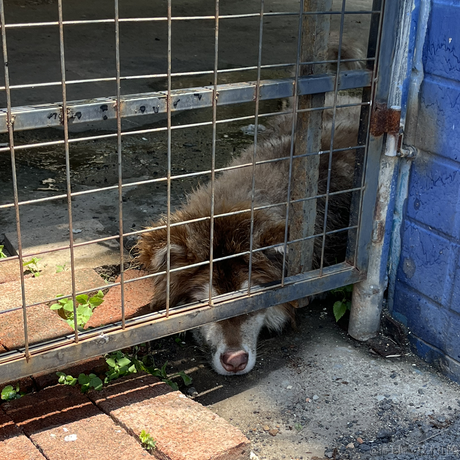 渣然于2023-07-06 20:50发布的图片