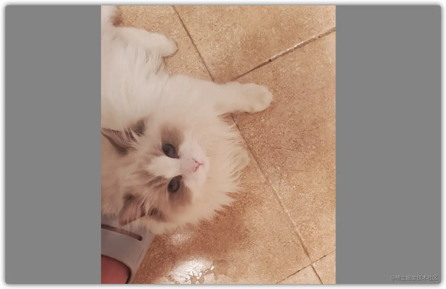 image-20210815171613463