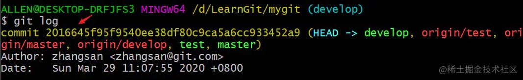 image-20200329150643422