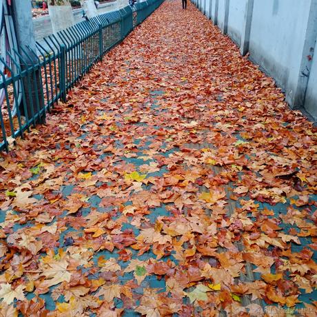 兢兢阿金于2022-11-29 20:02发布的图片