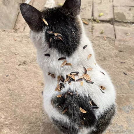 菠萝没有桃子了于2022-02-03 10:53发布的图片