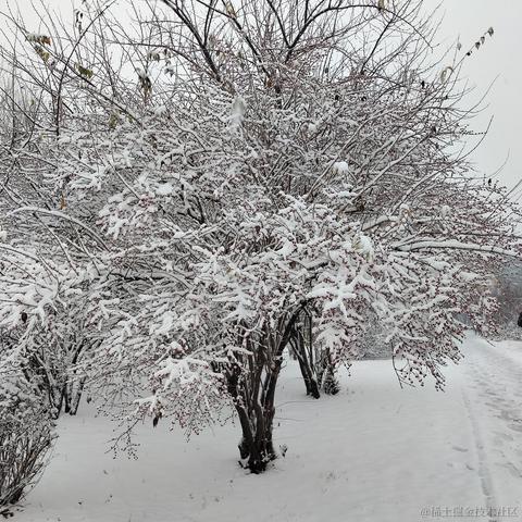 Dianazusa于2022-11-17 08:11发布的图片