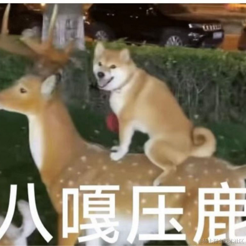 木讷的树a于2023-08-15 09:21发布的图片
