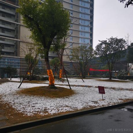 古柏树下于2022-02-23 07:40发布的图片