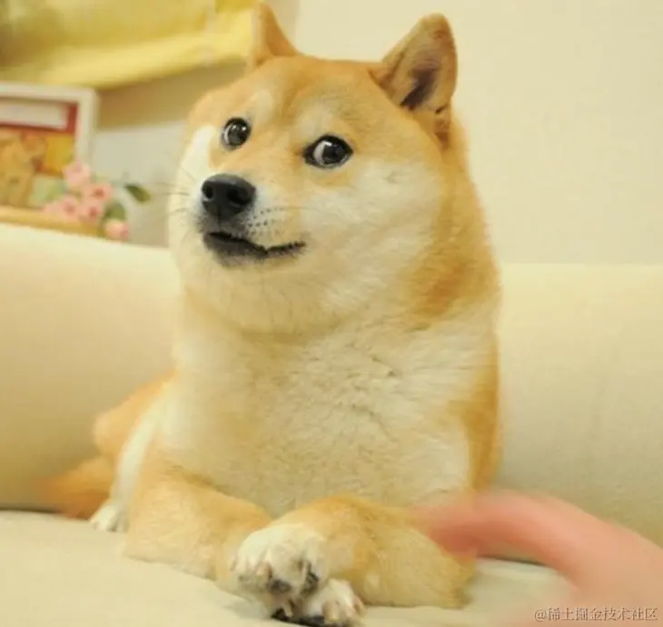 image-20231125144704057