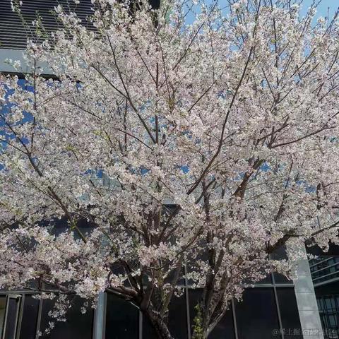 已注销于2021-03-25 17:41发布的图片