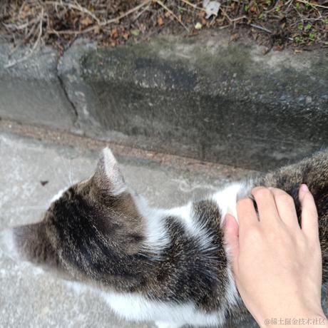 然与我与世界于2022-12-04 15:44发布的图片