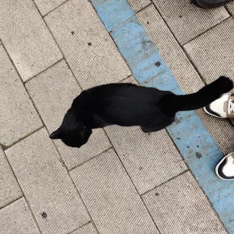 UKI97于2022-12-20 18:43发布的图片