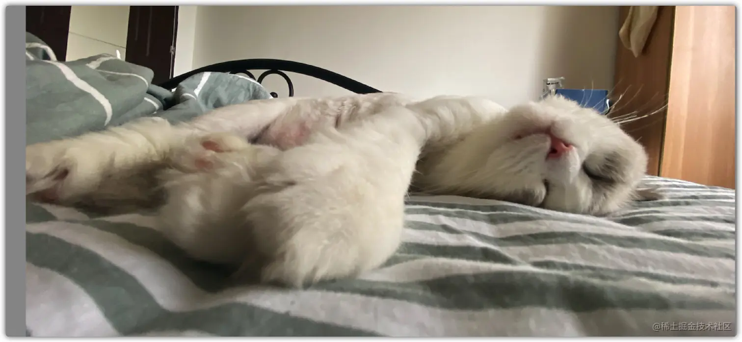 image-20210815173252193