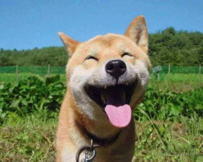 image-20191107024841075