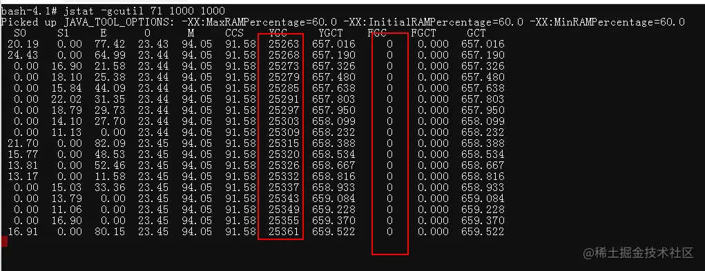 image-20210419163649086