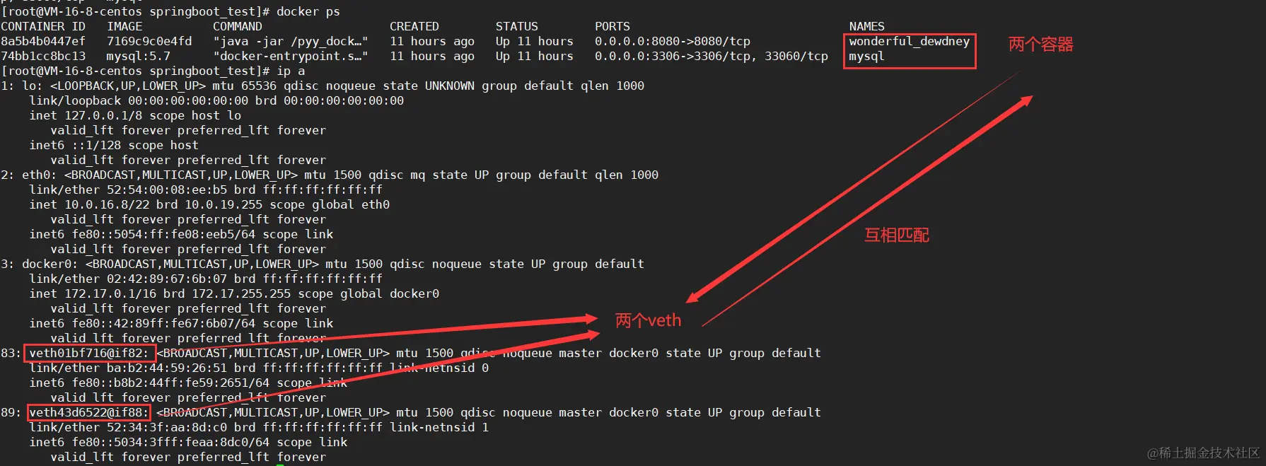 image-20220406091916322