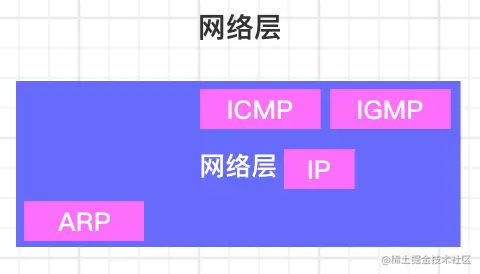 网络层中的协议.png