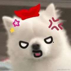 奇迹是九色的于2022-11-15 19:31发布的图片