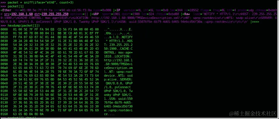 使用 Scapy 进行数据包嗅探