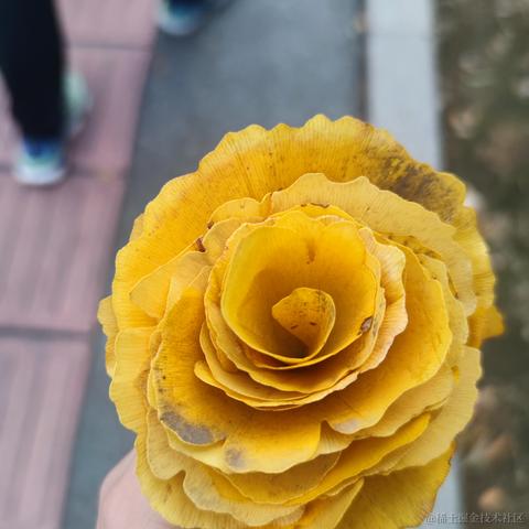 嘉然Dianaa于2022-11-27 16:57发布的图片